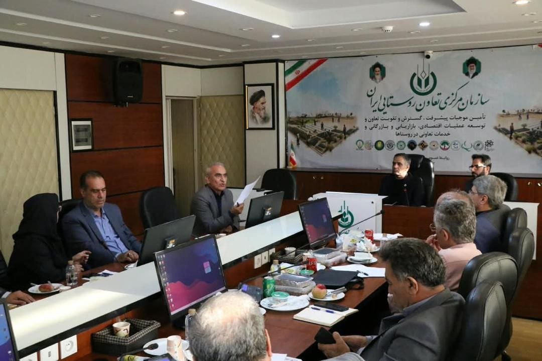 اختصاص ۲ همت به کشاورزی قراردادی کشمش قزوین؛ پیگیری اتاق بازرگانی برای تأمین اعتبار