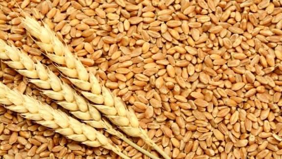 خبرهای خوب کشاورزی قزوین