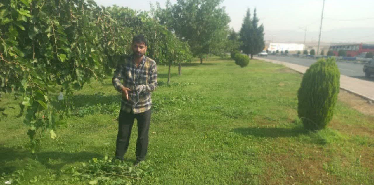 بهسازی فضای سبز در پارک آفتاب محمدیه