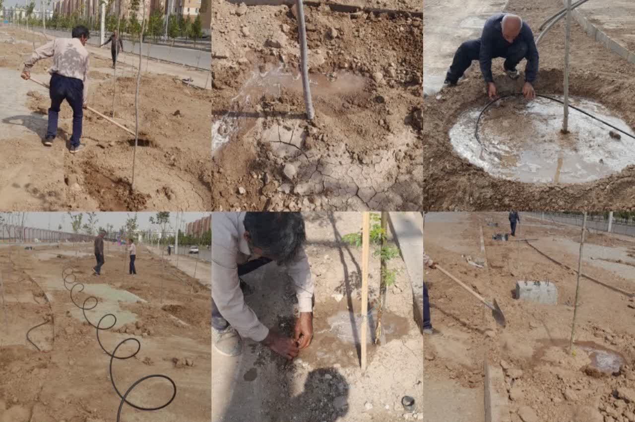 توسعه شبکه آبیاری قطره‌ای در بوستان خلیج فارس
