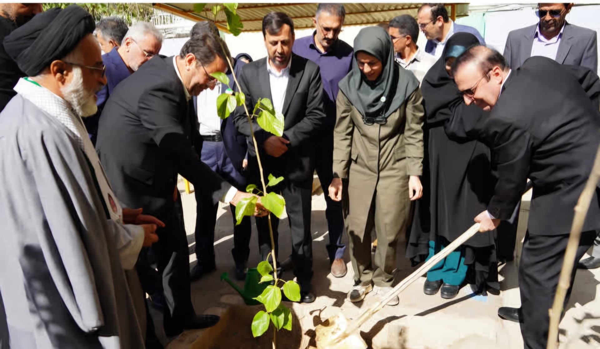 کاشت نهال به یاد معلمان و دانش‌آموزان شهید در قزوین