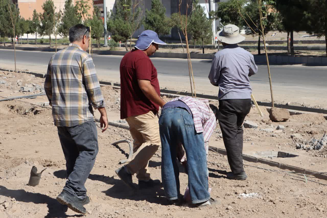 بازدید از روند تکمیل پارک خلیج فارس مهرگان
