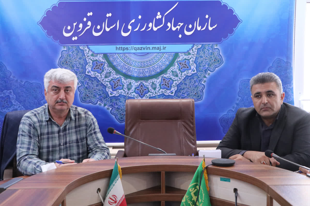 اجرای هدفمند الگوی کشت در قزوین