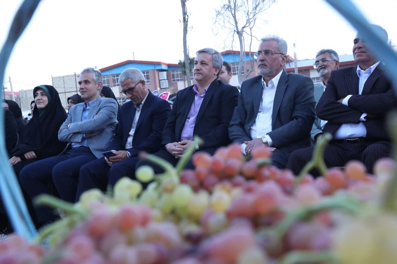 انگور تاکستان در مسیر برندسازی