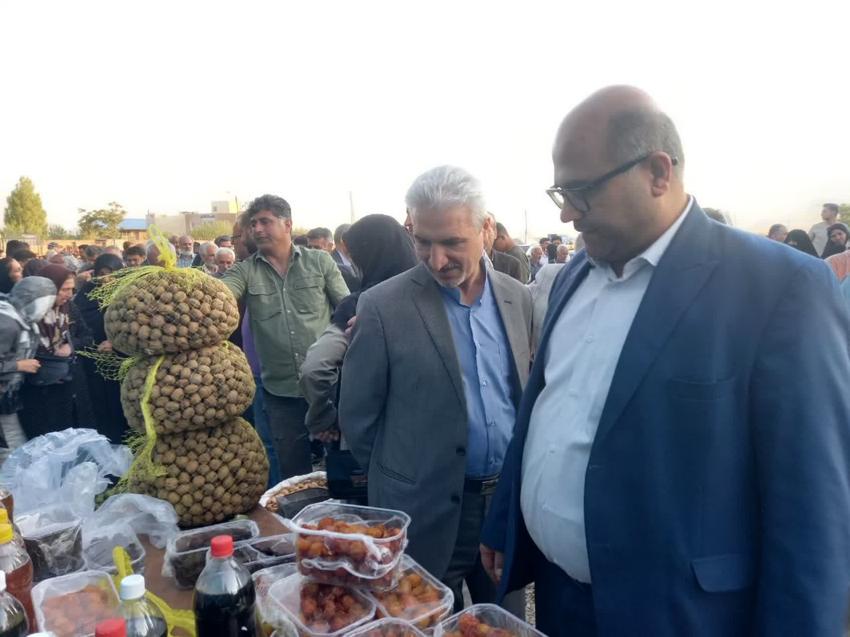 جشن گردو در ضیاآباد برگزار شد