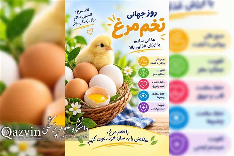 توصیه به مصرف روزانه یک تخم‌مرغ