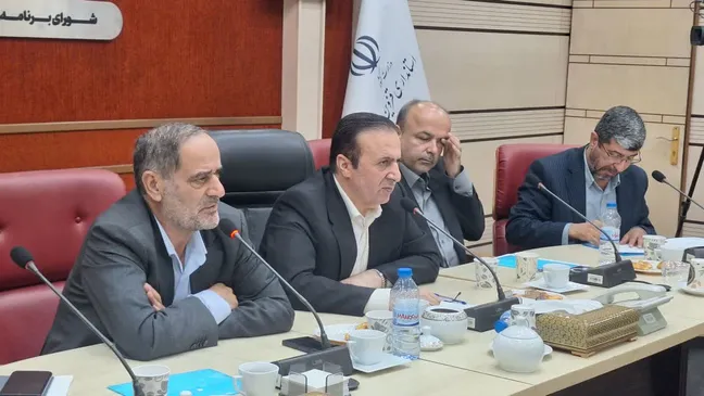 مطالبات مناطق جنوبی، بر لزوم ساماندهی صنعتی پرورش شتر در تالاب الله‌آباد، تسریع در صدور مجوز شهرک چرم‌سازی و واگذاری پروژه‌های ورزشی نیمه‌تمام به شهرداری‌ها