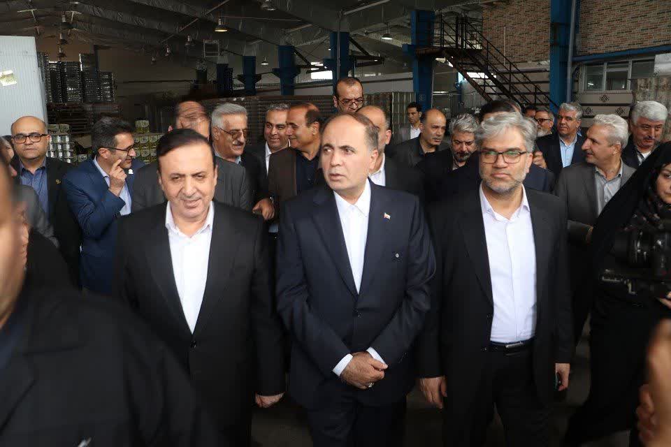 وزیر جهاد کشاورزی از زیتون‌کاران طارم حمایت کرد