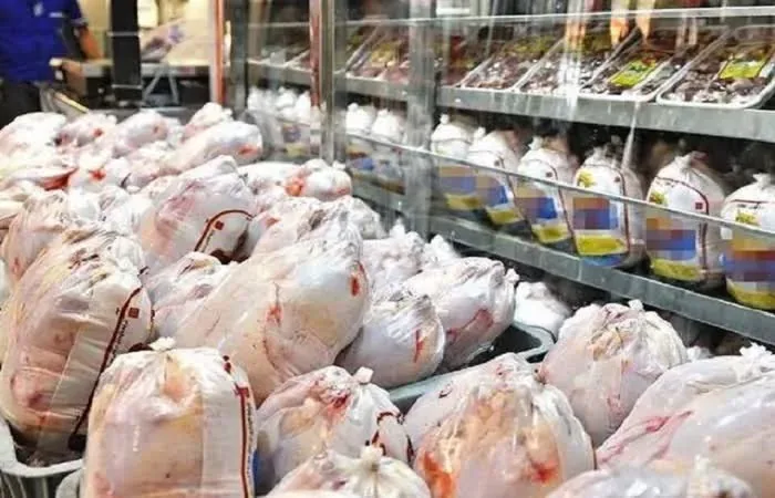 هوشمندسازی توزیع مرغ در قزوین؛ ۷۵۵ کارتخوان «ره‌آوا» در واحدهای عرضه نصب شد