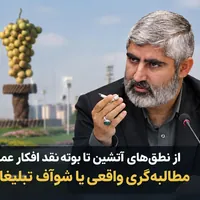 از نطق‌های داغ تا واقعیت‌های سرد؛ خروجی ملموس پیگیری‌های نماینده تاکستان کجاست؟مطالبه‌گری واقعی یا شوآف تبلیغاتی؟