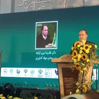 برنامه ایران برای توسعه ارقام زیتون با همکاری اسپانیا